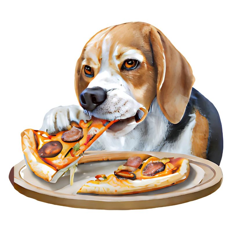 Pizza-loving Beagle