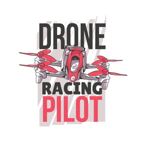 Drone Racing Pilot