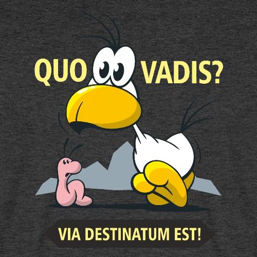 Sito Quo Vadis - Männer Premium Bio T-Shirt