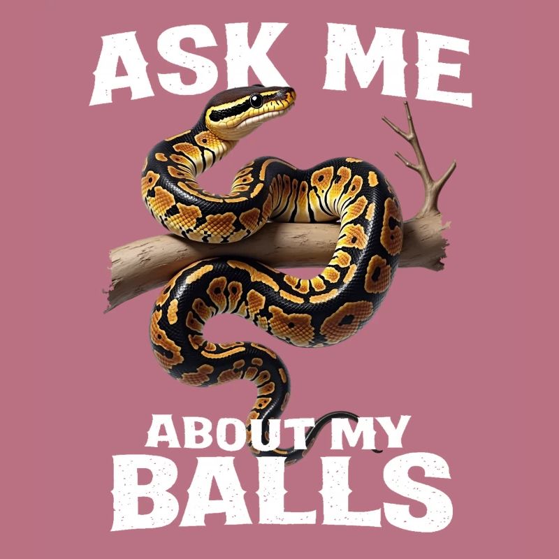 Python roi Serpents Amateurs de terrarium Python