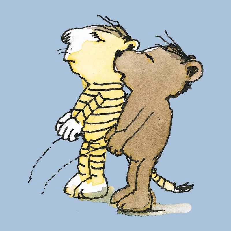 Janosch Tiger und Bär Pullern
