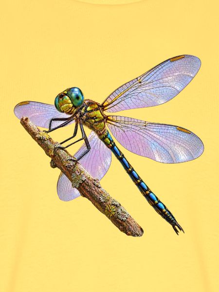 Libelle
