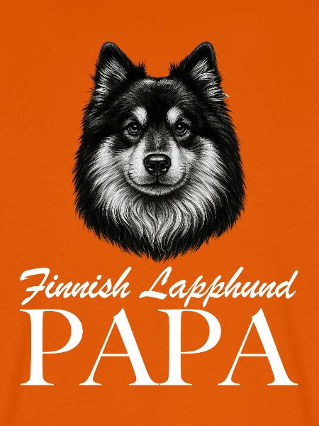 Finnischer Lapphund Papa