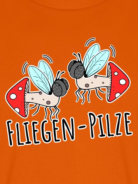 Zwei Fliegen Pilze