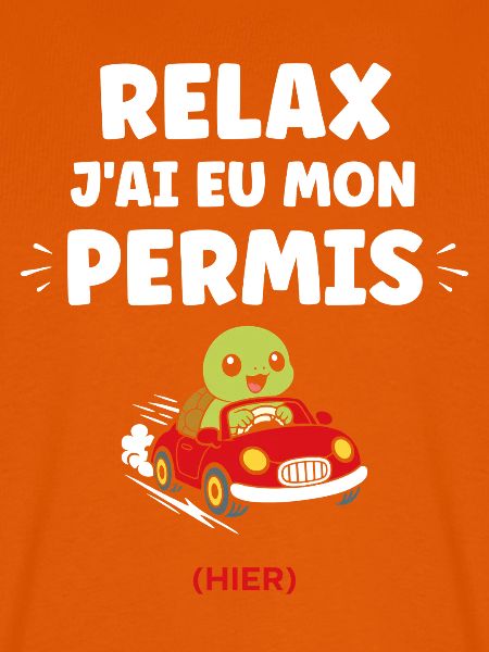 Führerschein-Humor