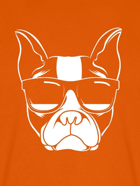 Boston Terrier