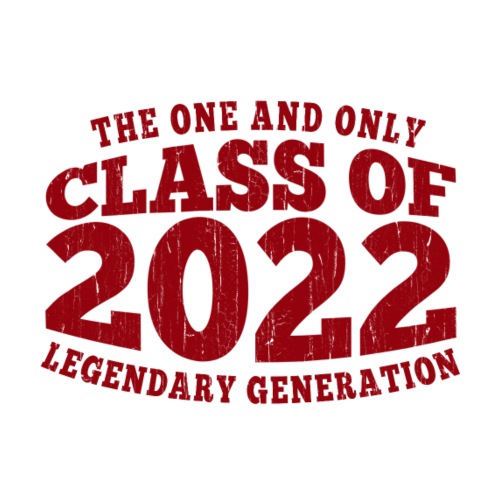 Abi 2022, Abschluss, Master, Diplom, Klasse - Männer Premium T-Shirt