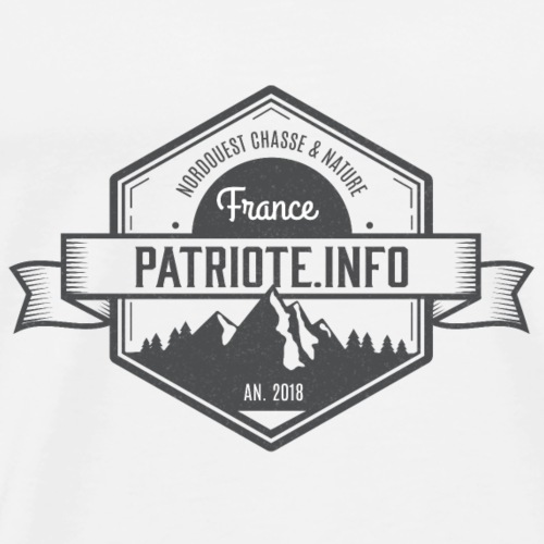 Hexagone patriote info style 13 - T-shirt Premium Homme