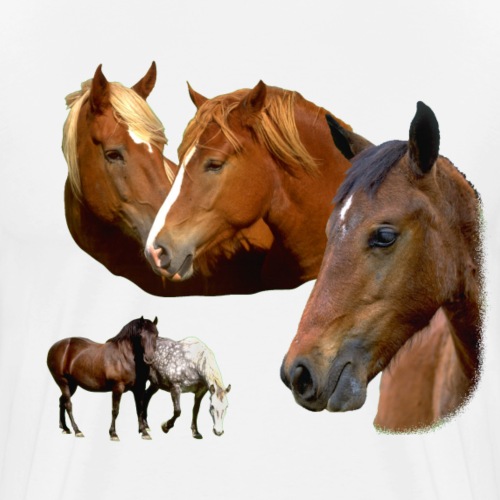Horses Wild Stallion & Mare Horse and Ponies Head - Men's Premium T-Shirt