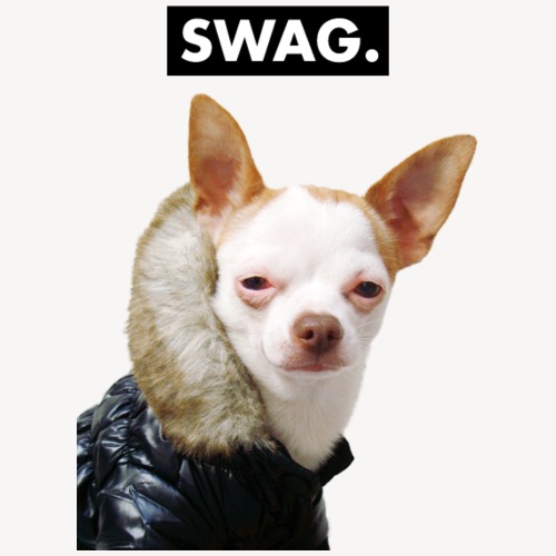SWAG. Chihuahua Hund mit Jacke - Männer Premium T-Shirt