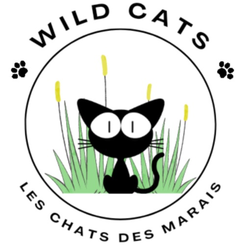 Logo Association Wild Cats - Les chats du Marais 3 - T-shirt Premium Homme