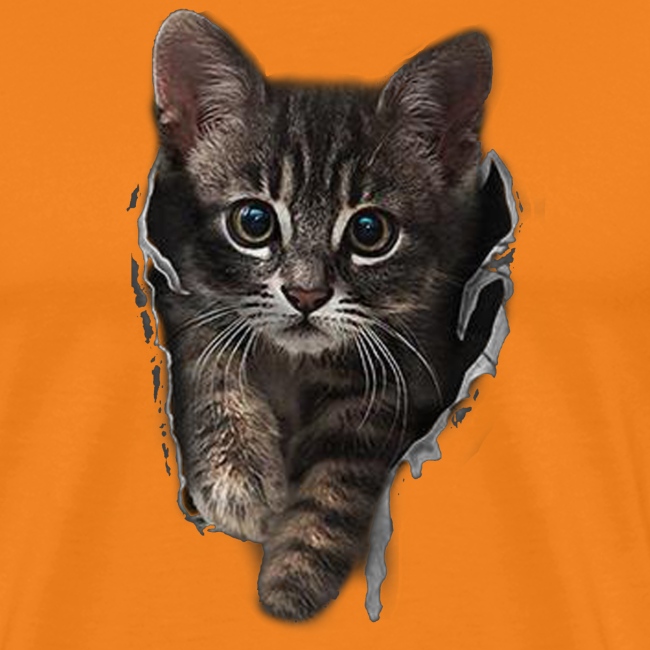 Katze Riss - Männer Premium T-Shirt