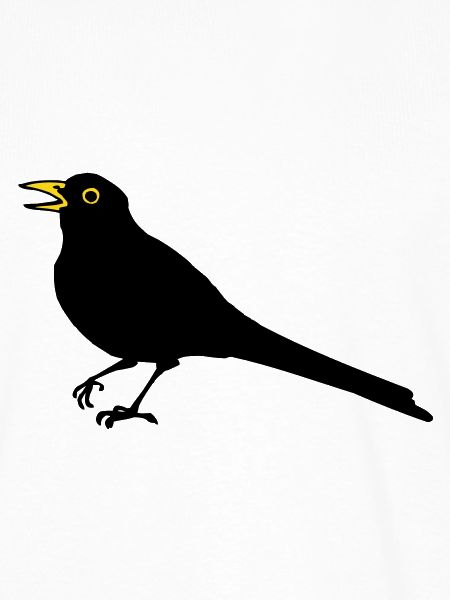 Blackbird