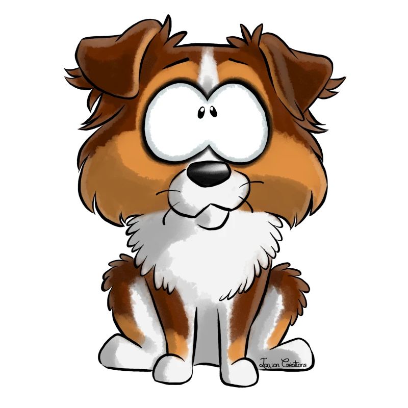 Ich bin Australian Shepherd Red Habs