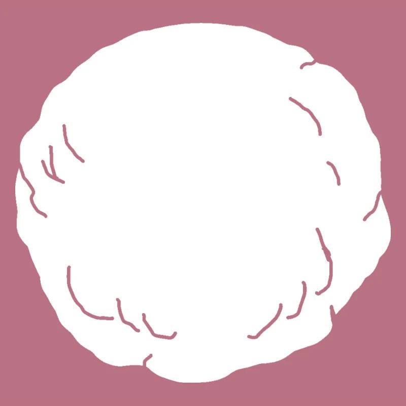 Boule de neige parfaite