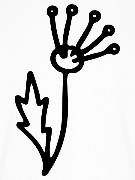 Blume 2