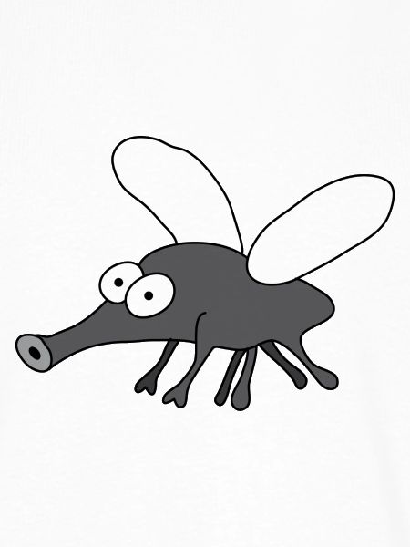 Mosquito