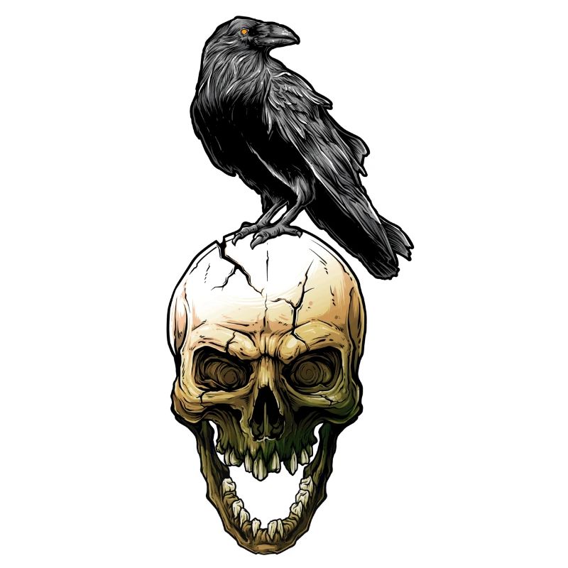 crow skull