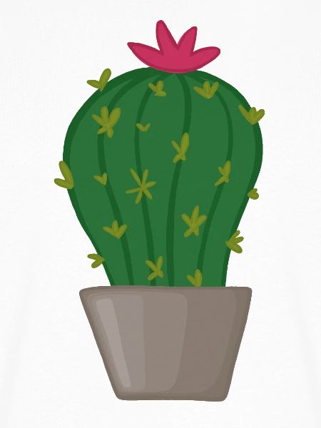 Kaktusblüte im Topf