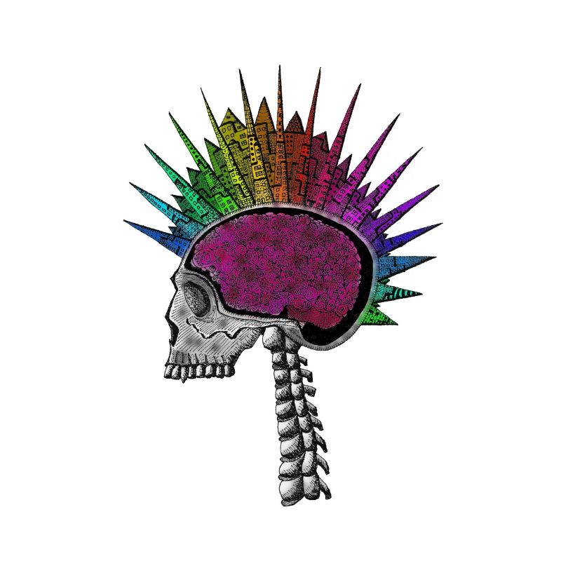 Natürliche Intelligenz Regenbogen-Schädel