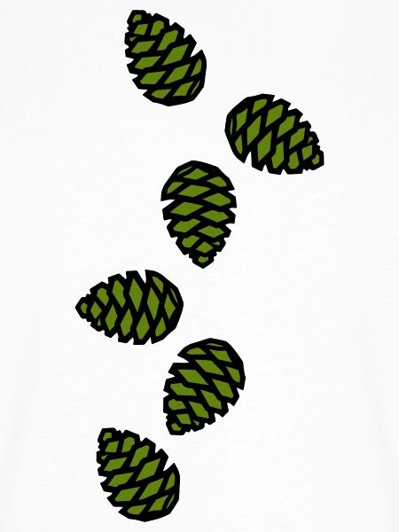 Tannenzapfen Symbol