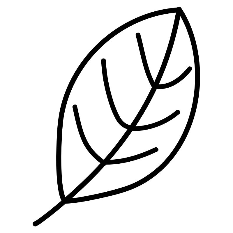 leaf