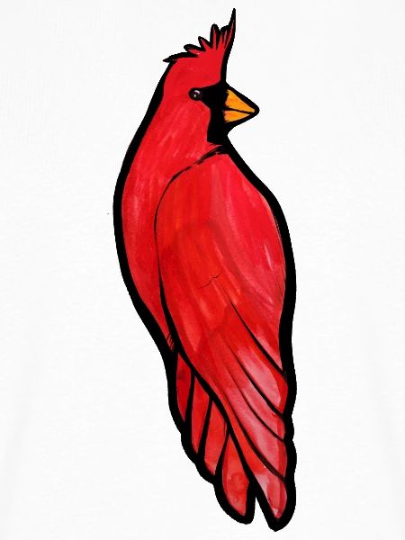 Crimson Cardinal auf Schwarz