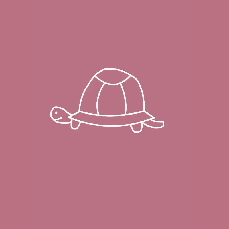 Turtle toad