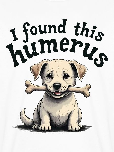 I found this humerus