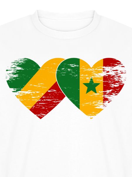 Kongo Senegal Flagge used