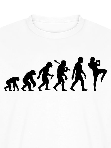 Kickboxer Evolution für Kickboxen Taekwondo