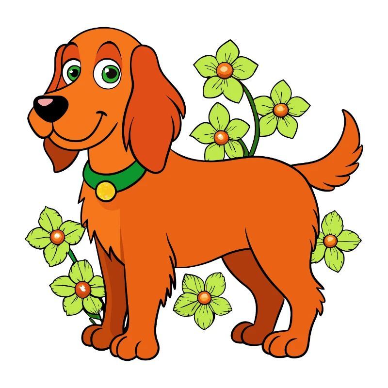 Irischer Setter