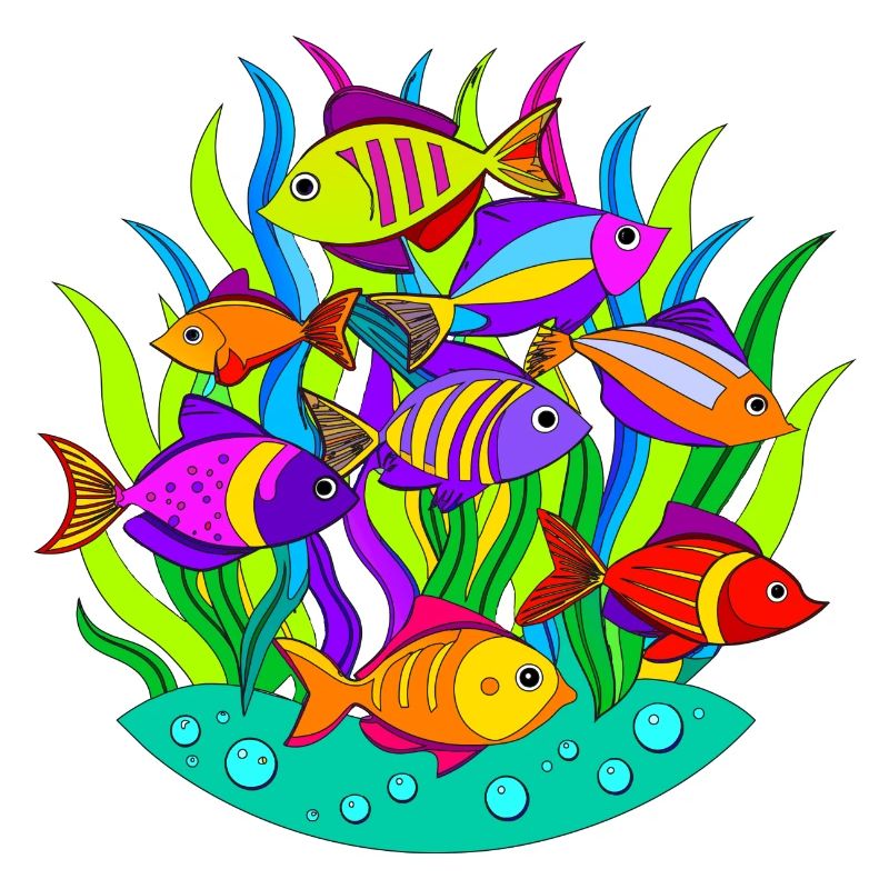 Banc de poissons dans les algues
