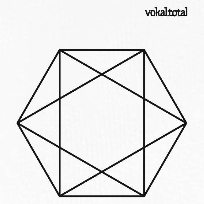 vokal.total Hexagon klein T-Shirts