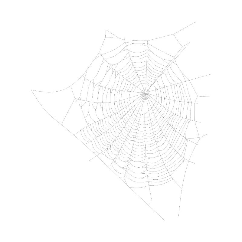 Spider web web