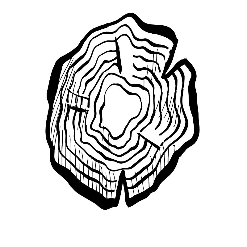 Tree rings