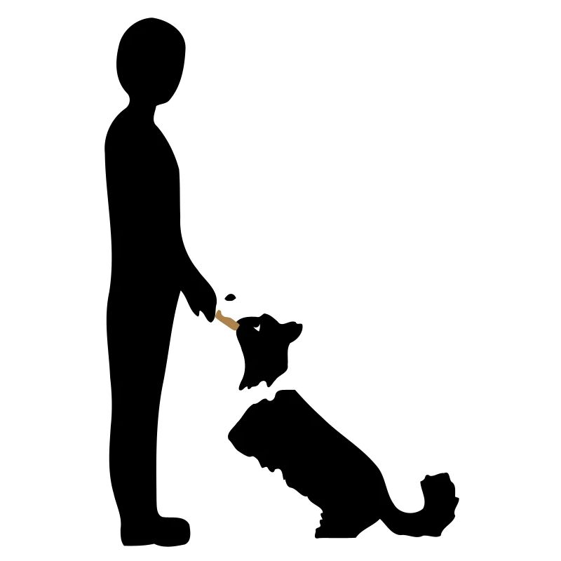 Obedience 3