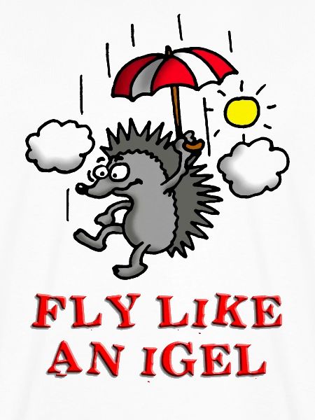 fly_like_an_igel_c