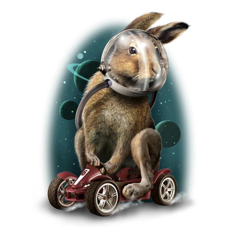 Rabbit race