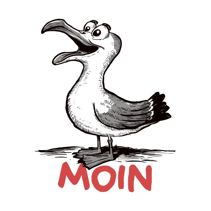 Moin Möwe