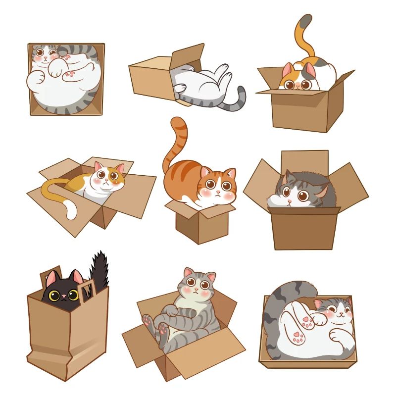 Chats dans des boîtes