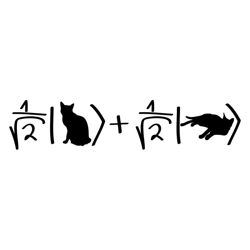 Schrödinger Katze