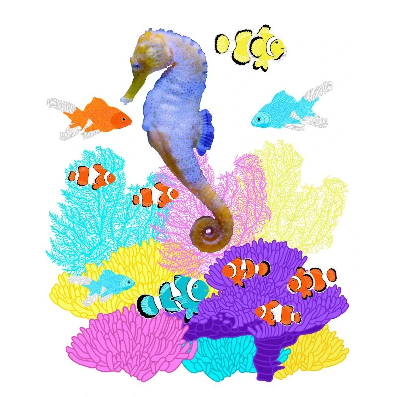 Seepferdchen, Goldfisch, Clownfisch, Korallen Riff