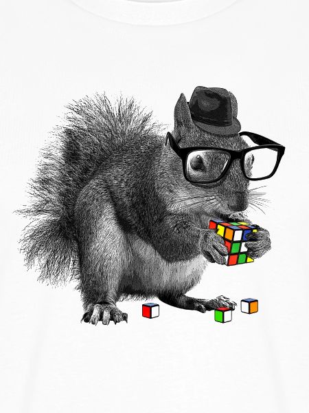 Rubik's Squirrel