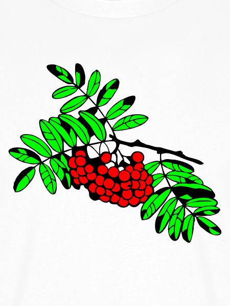Drosselbeere