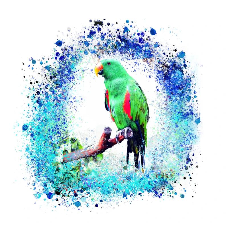 sittich ara,,vogel,graffiti,mint,blau,brush,spray