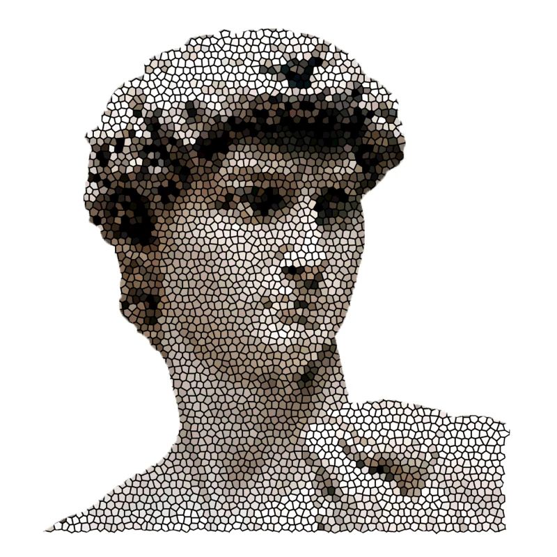 michelangelo david statut