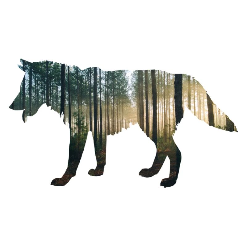 loup forestier double exposition