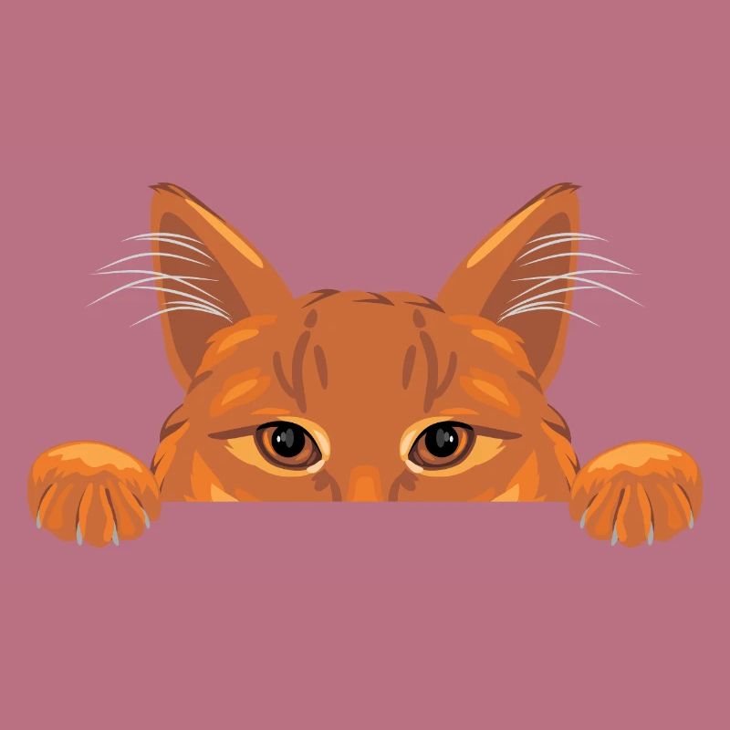 Chat au gingembre