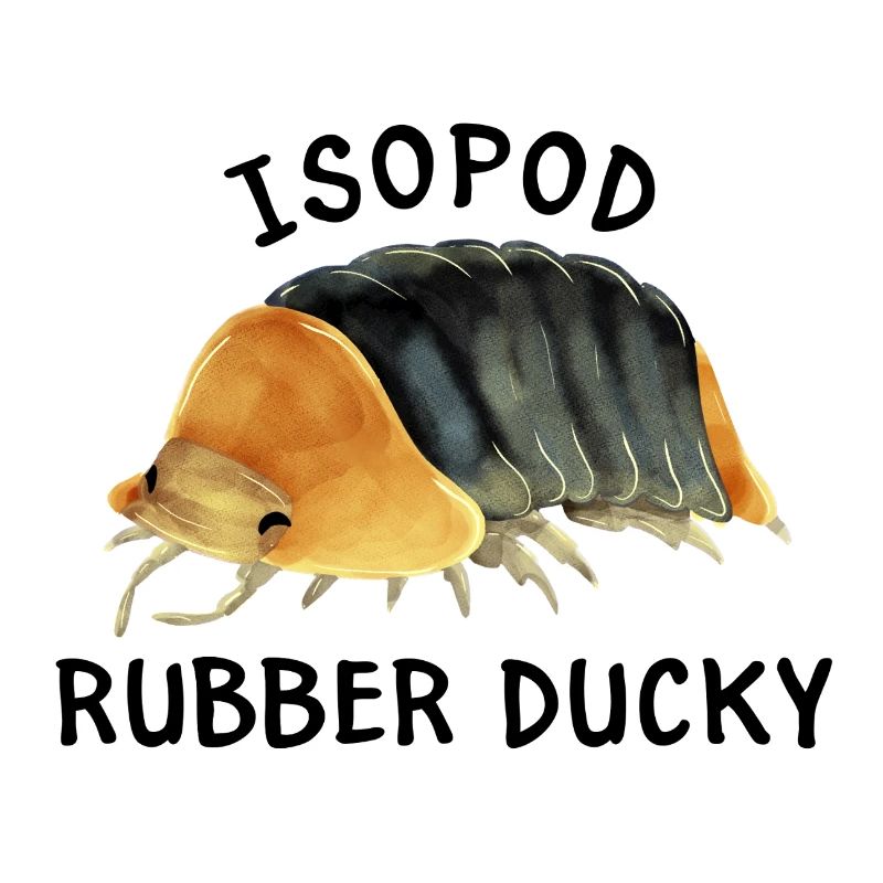 Isopod cubaris sp rubber ducky